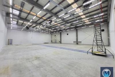 Spatiu industrial de vanzare in Aricestii Rahtivani #16443 - 5