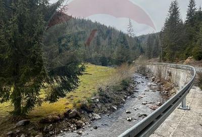 Arieșeni–Strada Fața Cristesei -Teren 4.331 mp cu Peisaj de Poveste - 5