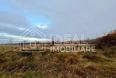 Teren extravilan 6.500 mp – Cârțișoara | Comision 0% - 7