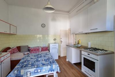 Casa individuala cu teren 421 mp zona Titulescu - 5