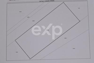 Vanzare teren Albota - 1