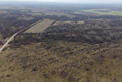Teren extravilan 95.23 ha lângă Caransebeș - 3