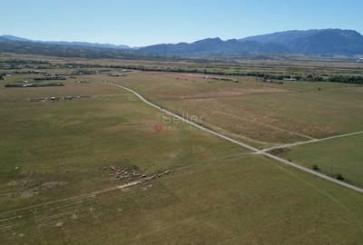 Teren extravilan Rasnov - 3