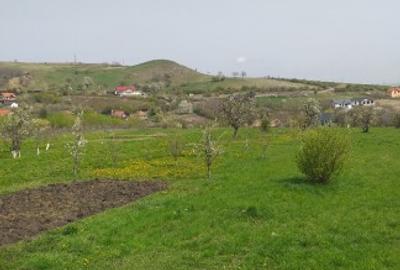 Teren Construcții intravilan de 2000 mp, în Săndulești