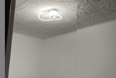 APARTAMENT 2 CAMERE, PARCUL CAROL - 4