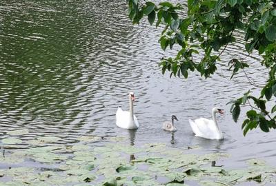 Casă individuală cu 4 camere în Central