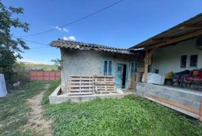 Casă 3 camere, BACAU, NEGULESTI - 4