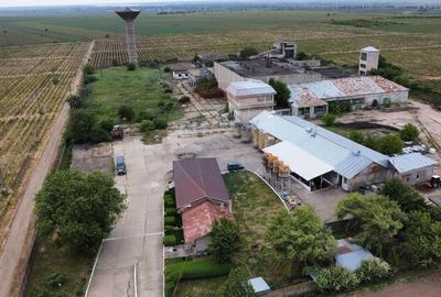 Spațiu industrial vinificatie Dobrinesti - 3