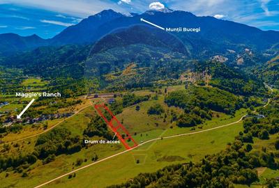 Comision 0! Teren Rasnov- Strada Valea Panicelului, 2263mp - 4