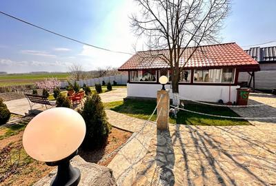 Domeniul de langa Fetesti, Maltezi, ideal pentru evenimente - 20