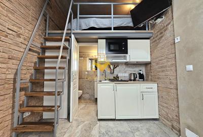 Studio tip loft, UltraCentral, Piața Muzeului, Piața Mihai Viteazul - 5
