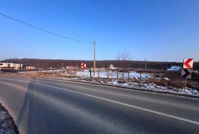 Teren Construcții intravilan de 3758 mp, în Mogoșești