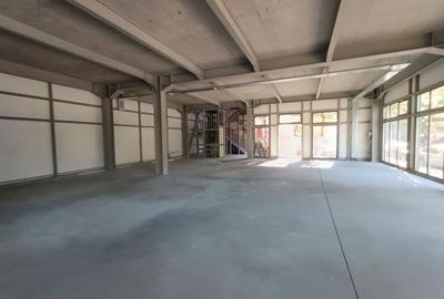 Spatiu intens circulat 250/750 mp - 4