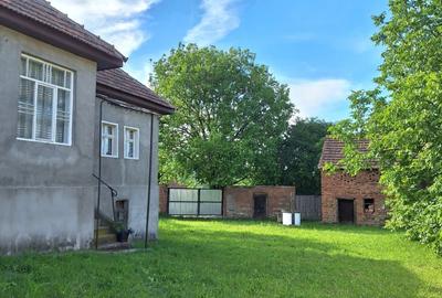 Casă de vânzare în inima naturii – Ludești, județul Hunedoara - 4