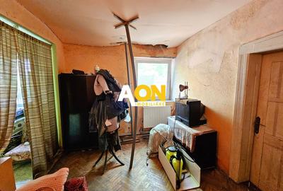 Casa veche, 5 camere, 287 mp teren, zona Prefectura. Necesita renovare - 10