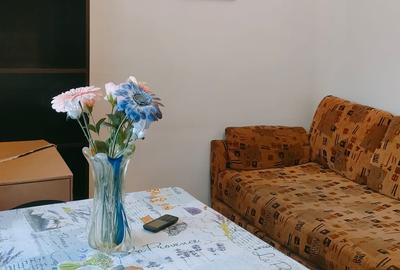 Apartament 2 camere zona parcului Eminescu-Bulevard - 4