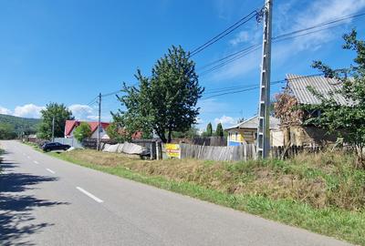 Casa+teren 1.626 mp loc Zapodia- Traian-40 m deschidere la strada - 1