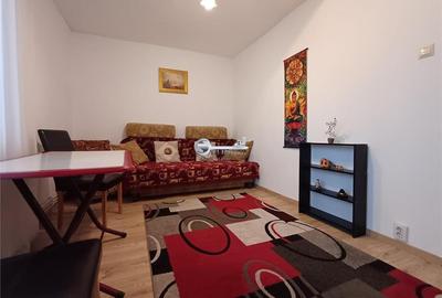 Apartament 3 camere decomandat, Mircea – Str. Cerna, disponibil imediat - 10