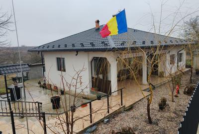 Casa de vanzare Manjesti Vaslui - 1