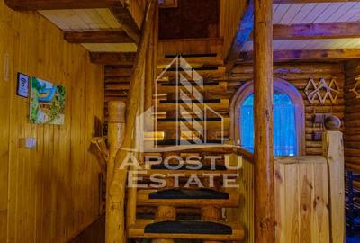 Pensiune, casa de vacanta, 6 camere, statiunea Rausor din Hunedoara - 54