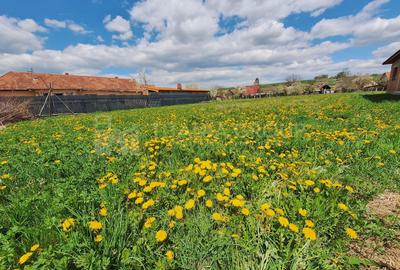 Teren de 1451 mp cu utilitati -  Haghig, jud. Covasna - 2