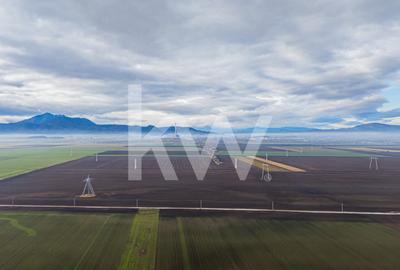Teren exceptional pentru investitii industriale langa Brasov - 5