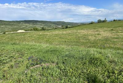 Teren Construcții extravilan de 1300 mp, în Iris