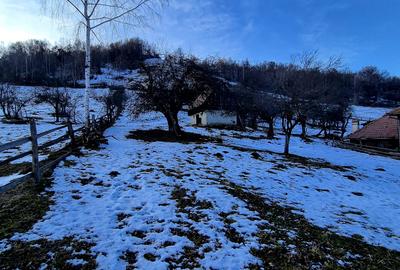 Teren intravilan Simon/Bran, 4318 mp , casuta intabulata, utilitati - 9