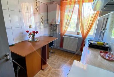 Apartament cu 2 camere de închiriat în zona Brazda lui Novac - 2