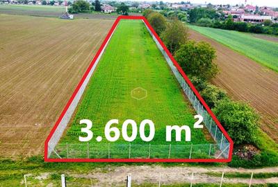Teren 3.600 m² in Odoreu | 7 km de Satu Mare | 160 m de Principala - 5