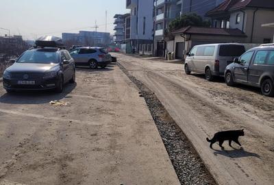 EXCLUSIVITATE! TEREN UNICAT MAMAIA NORD - 8