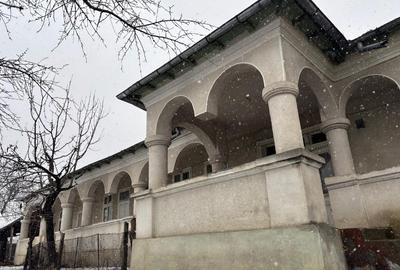 Vand gospodarie taraneasca traditionala - 14