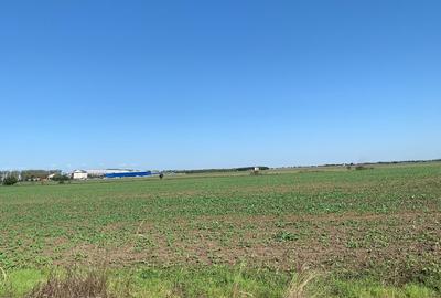 Teren Construcții extravilan de 120000 mp, în Afumați