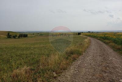 Teren parțial intravilan-300000mp Stroiești-Trei Movile, Suceava - 6