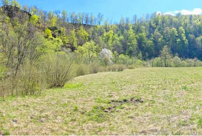 Vând teren intravilan Tarnița - Risca - Mărișel  jud. Cluj - 9