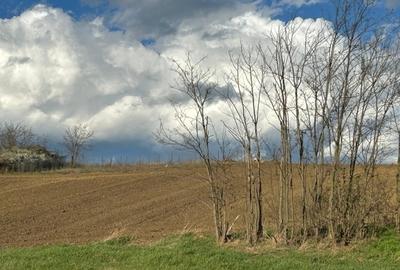 Parcele teren 430 mp extravilan Rediu loturi ideale pt investiție - 3