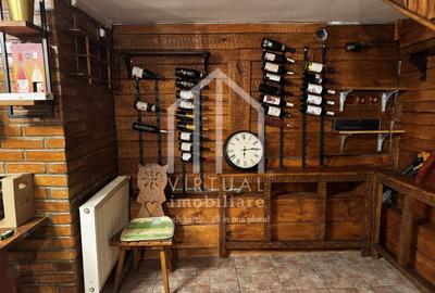 Ideal investitie -Pensiune de vanzare in Paltinis, 337mp, teren 1500mp - 15