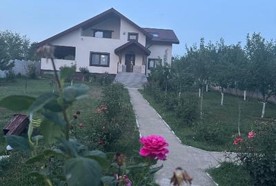 Ready to move in, 4 băi din care una pentru intrare de afară de la grătar,terasă - 1