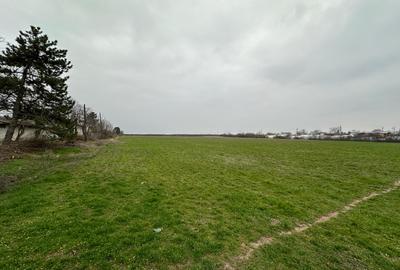 Teren intravilan Mogosesti | Giurgiu | 370.000mp | Adunatii Copaceni - 7