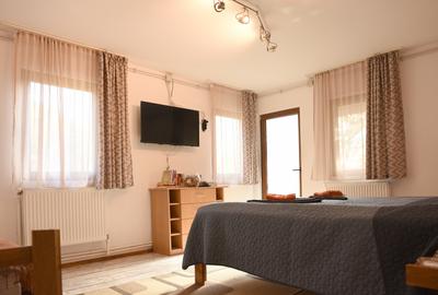 Pensiune boutique, zona Schei - spre Calea Poienii, comision ZERO. - 7