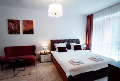 Garsoniera Sinaia Valea Prahovei Parcare Subterana SPA - 13