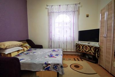 PODU DE PIATRA - OMV , CASA TIP DUPLEX ,1,5 km de Centru , 87000 euro - 9