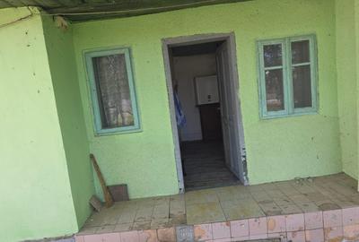 Proprietar unic vând direct, casă/gospodărie completă în comuna Adâncata, IL - 9