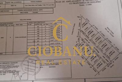 Parcele de teren intravilan de vanzare zona Preajba - 1