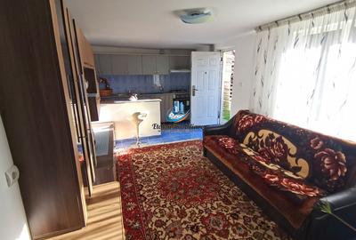 Casa P+M, zona Sarata, Jud. Neamt - 14
