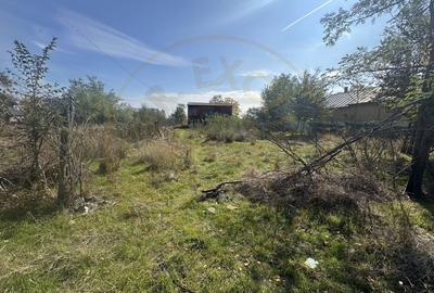 Teren Construcții intravilan de 5216 mp, în Ciupa-Mănciulescu