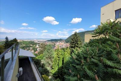 Apartament tip studio Drumul Poienii-Bellevue, Brasov - 1