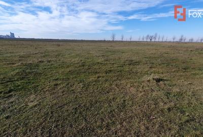 Teren intravilan 665 mp cu Puz aprobat - Padureni - 5