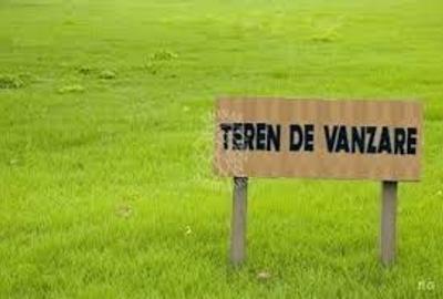 Teren 12000 mp (1,20 Ha)-Parcelabil-Oportunitate Investitie-Livezile - 1