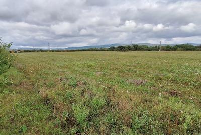 Vand teren intravilan Rascruci, com. Bontida - 1